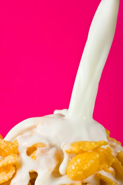 Flakes with milk — Stock Photo, Image