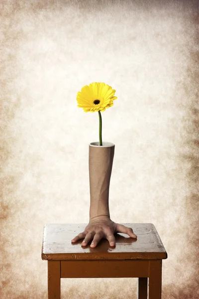 Flower in leg — Stock Photo, Image