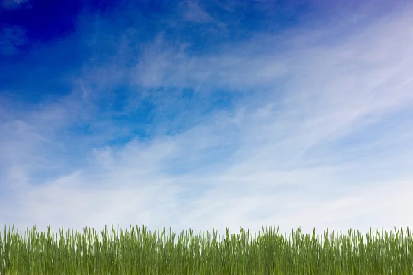 Gräs med moln — Stockfoto