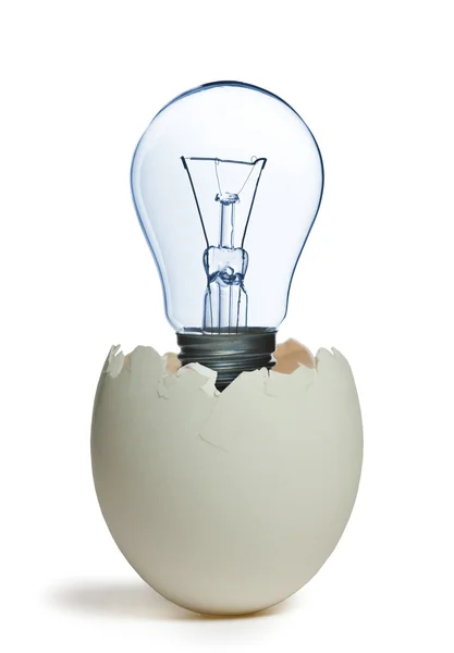 Lamba içinde yumurta — Stok fotoğraf
