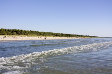 baltic sea beach, Litvanya