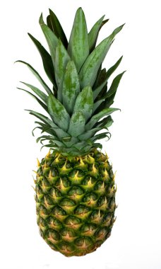 izole ananas