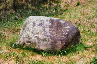 Stone in moss, grass clipart