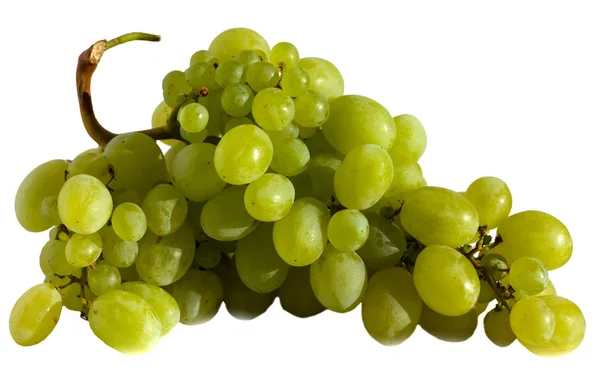 stock image Grapes