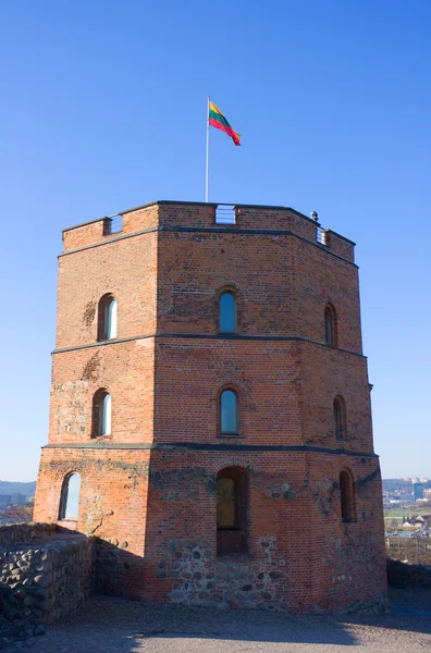 stock image Tower Gedeminas, Lithuania, Vilnius