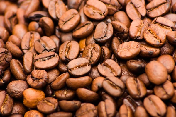 Stock image Coffee beans, macro