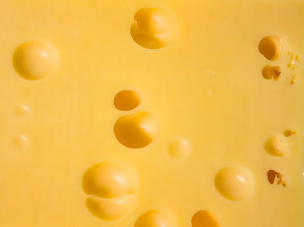 Sýr, pozadí — Stock fotografie