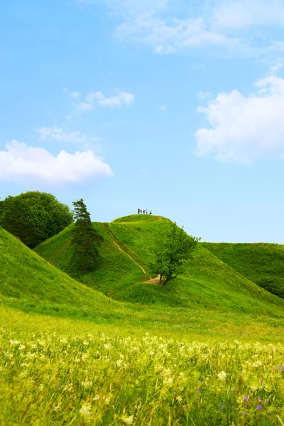 녹색 언덕 — 스톡 사진