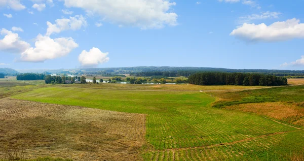 Summer landscape, panorama — Stock Photo, Image