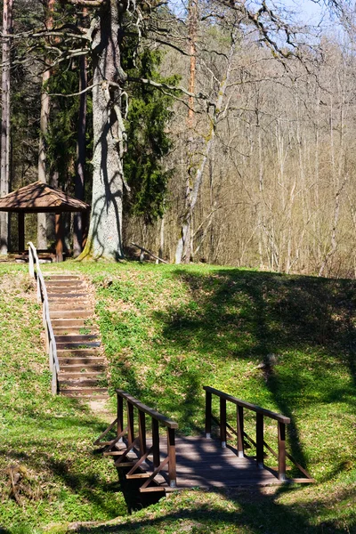 Bridge and a staircase in the Spring Par — Stock Photo, Image