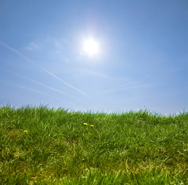 Zelené trávě, modrá obloha — Stock fotografie