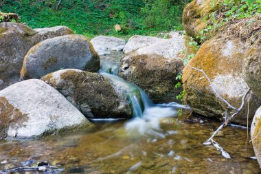 Forest Stream, blurred in motion clipart