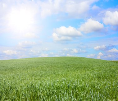 Grass on the hill, blue sky clipart
