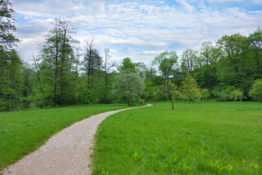 Trail in the park, spring clipart