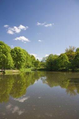 Lake Park, ördek