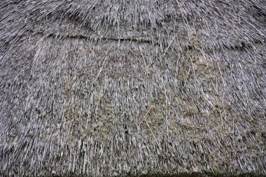 Thatch roof, background clipart