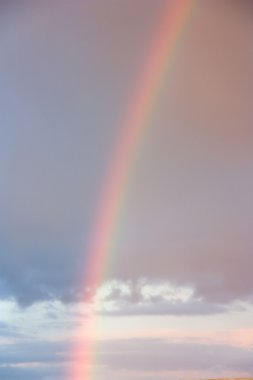 Sunset sky and a rainbow clipart