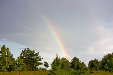 Rainbow, landscape clipart