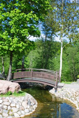 Bridge in Spring Park clipart