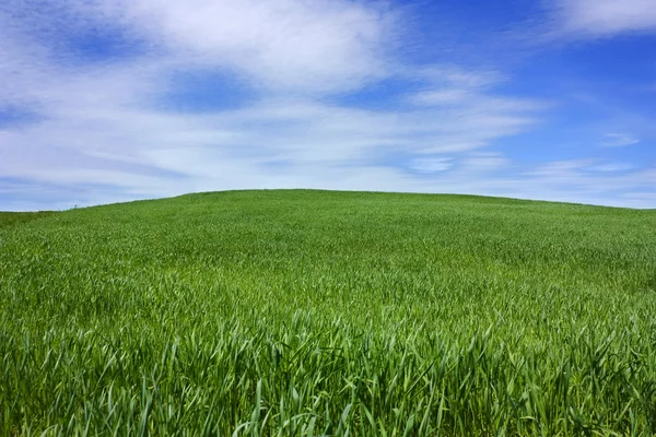 草上的山、 蓝色天空 — 图库照片