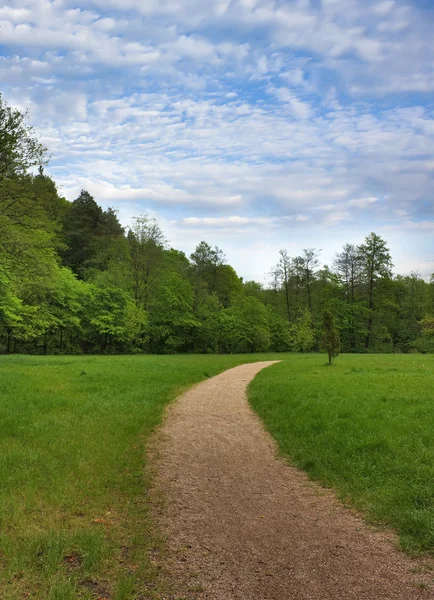Trail in het park, het voorjaar — Stockfoto