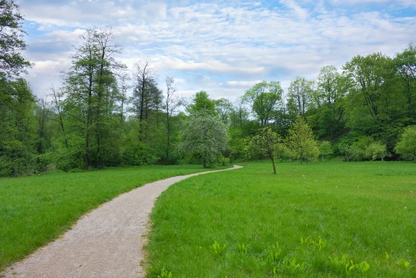Szlak w parku, wiosna — Zdjęcie stockowe