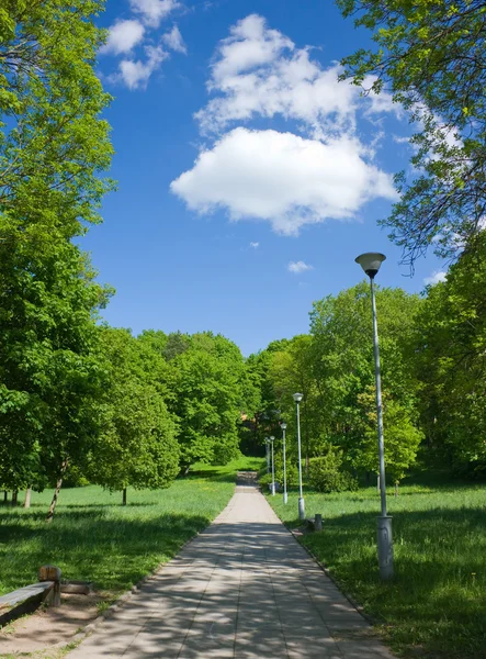 Stezka v létě park, modrá obloha — Stock fotografie