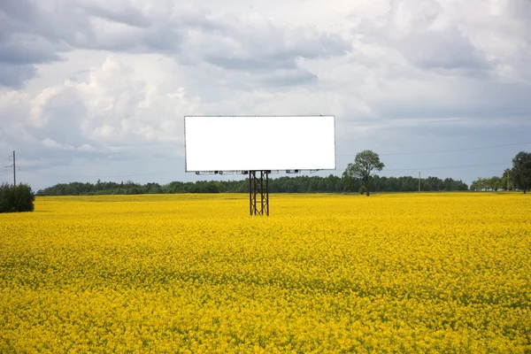 stock image Field, a blank billboard