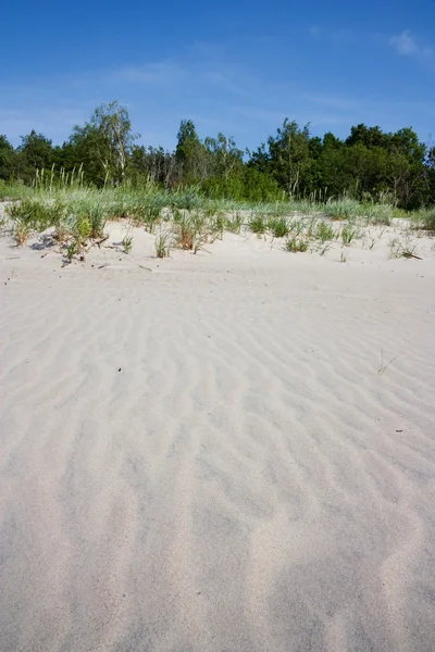 Písečné duny, pláž — Stock fotografie