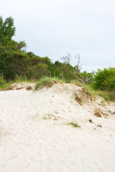 Dunes — Stok fotoğraf