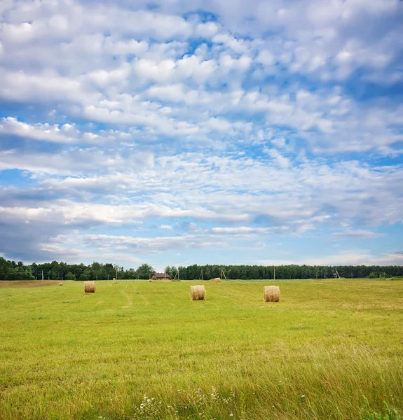 Hay, rural landscape — Stock Photo, Image