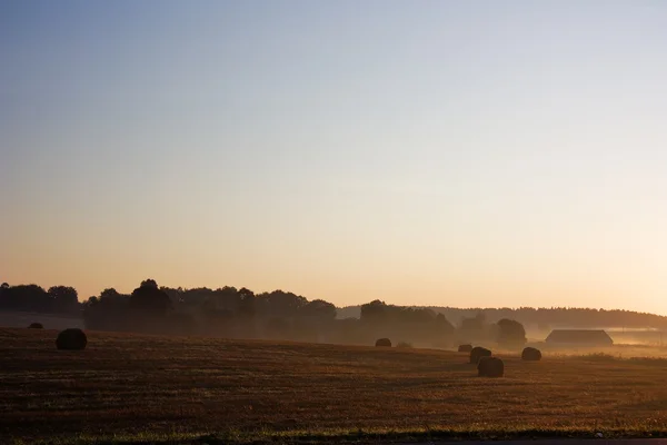 stock image Dawn, rural landscape