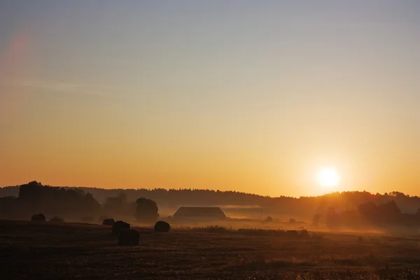 夜明け、農村風景 — ストック写真