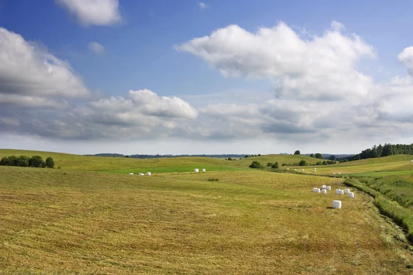 Hay, rural landscape — Stock Photo, Image