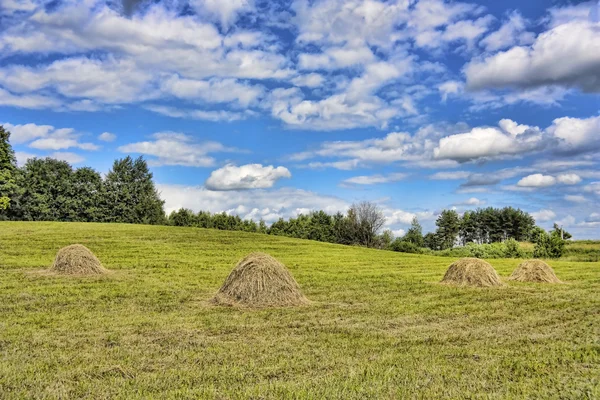 Heno, paisaje rural —  Fotos de Stock