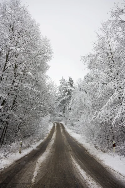 Зимняя дорога через лес — стоковое фото