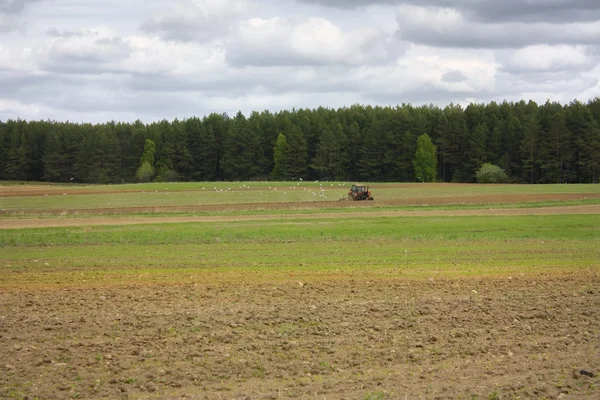 Trabajos de primavera en el campo, tractor —  Fotos de Stock