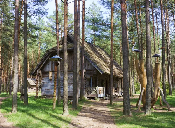 Vieille maison dans les bois — Photo