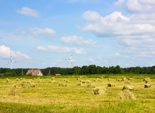 Hay field, wind generators — Stock Photo, Image