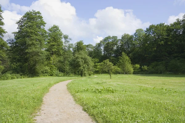 Trail in de zomer de park, blauwe hemel — Stockfoto
