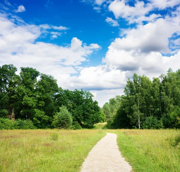 Wanderweg im Sommer der Park, blauer Himmel — Stockfoto