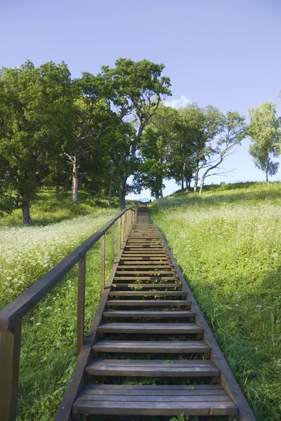 Escada para a colina, verão — Fotografia de Stock