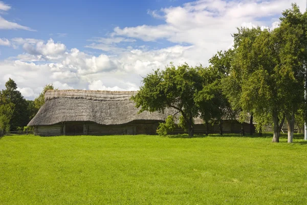 Shed with thatched roof — Stock Photo, Image