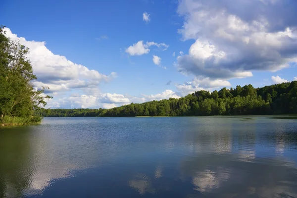 Forest lake, zomer — Stockfoto