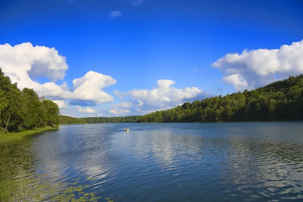 Forest lake, zomer — Stockfoto