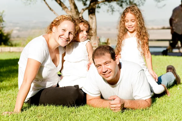 Семья из четырех человек лежит в траве — стоковое фото