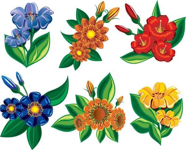 Collection belles fleurs avec des feuilles — Image vectorielle