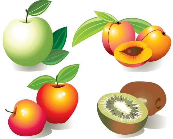 stock vector Series fruit