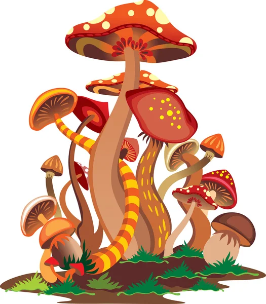 Abstract mushrooms — Stock Vector