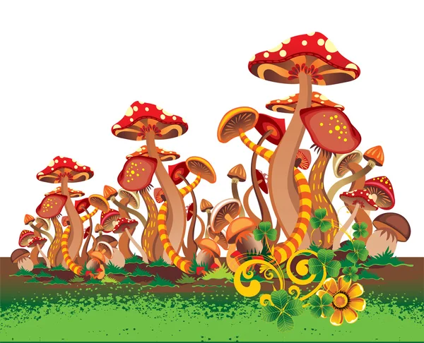 Mushrooms — Stock Vector